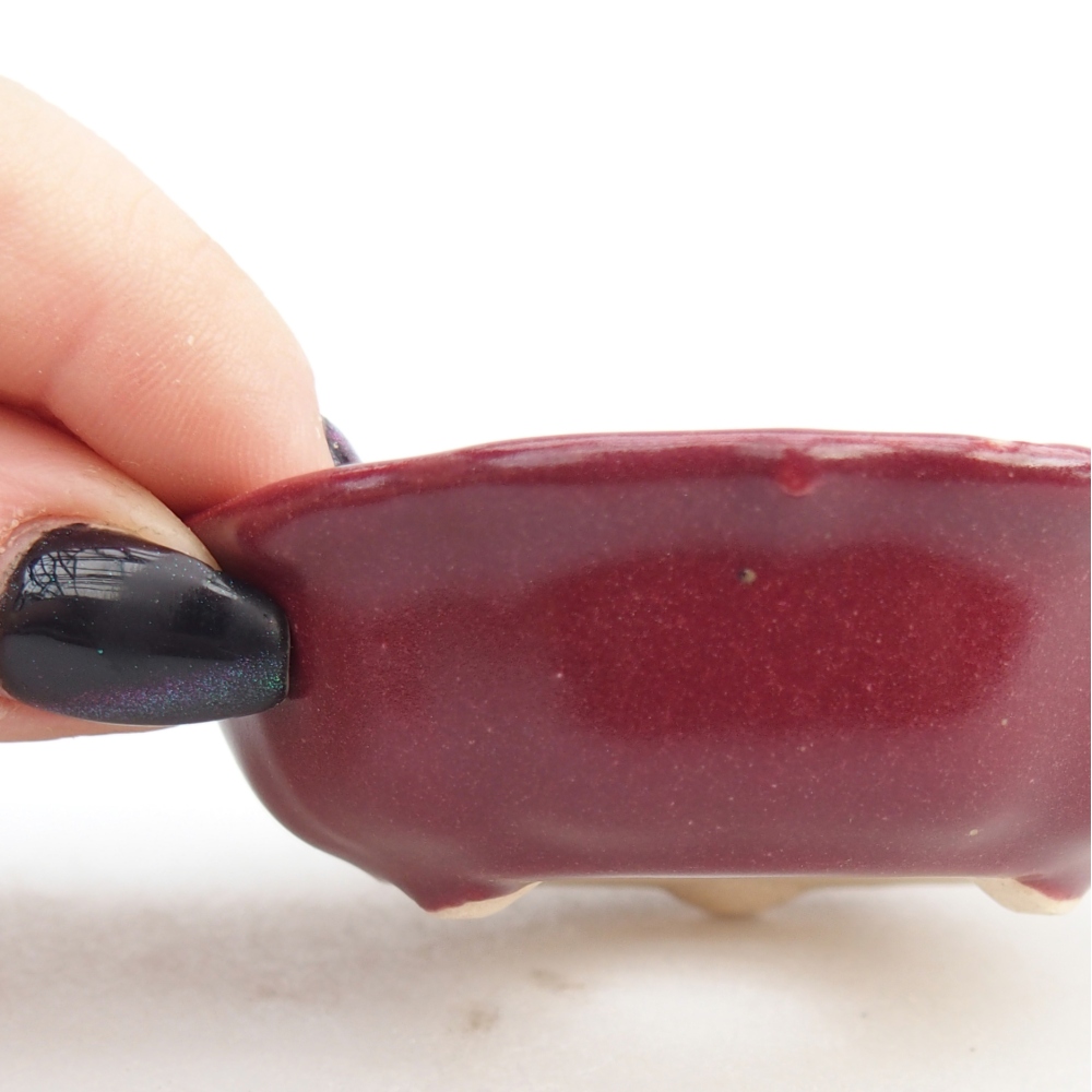 Mini bol bonsaï 7,5 x 7,5 x 2,5 cm, bordeaux