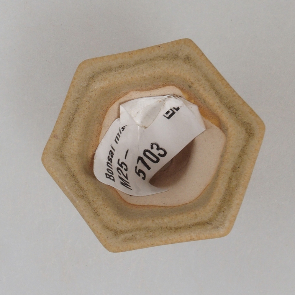 Mini bol bonsaï 4 x 3,5 x 3 cm, brun