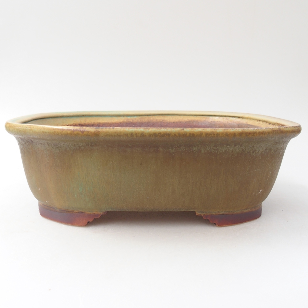 Bol à bonsaï en céramique 25 x 21 x 8 cm, vert