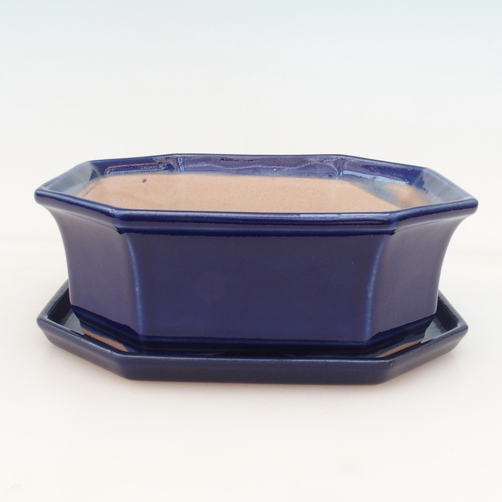 Bol Bonsaï + soucoupe H14 - bleu