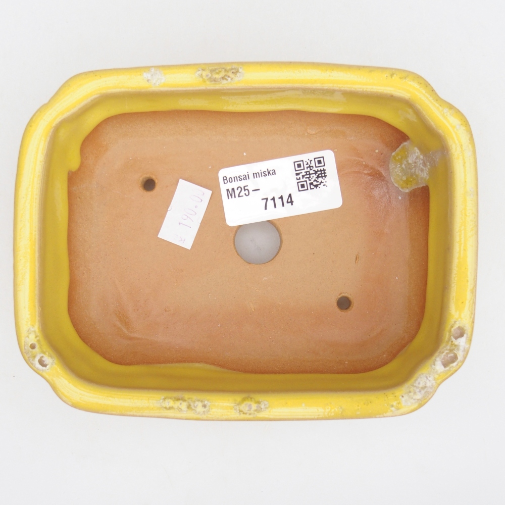 Bol à bonsaï en céramique 14 x 11 x 4 cm, jaune