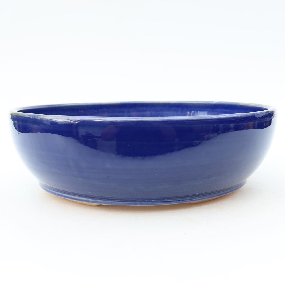 Bol à bonsaï en céramique 20 x 20 x 6 cm, couleur bleu