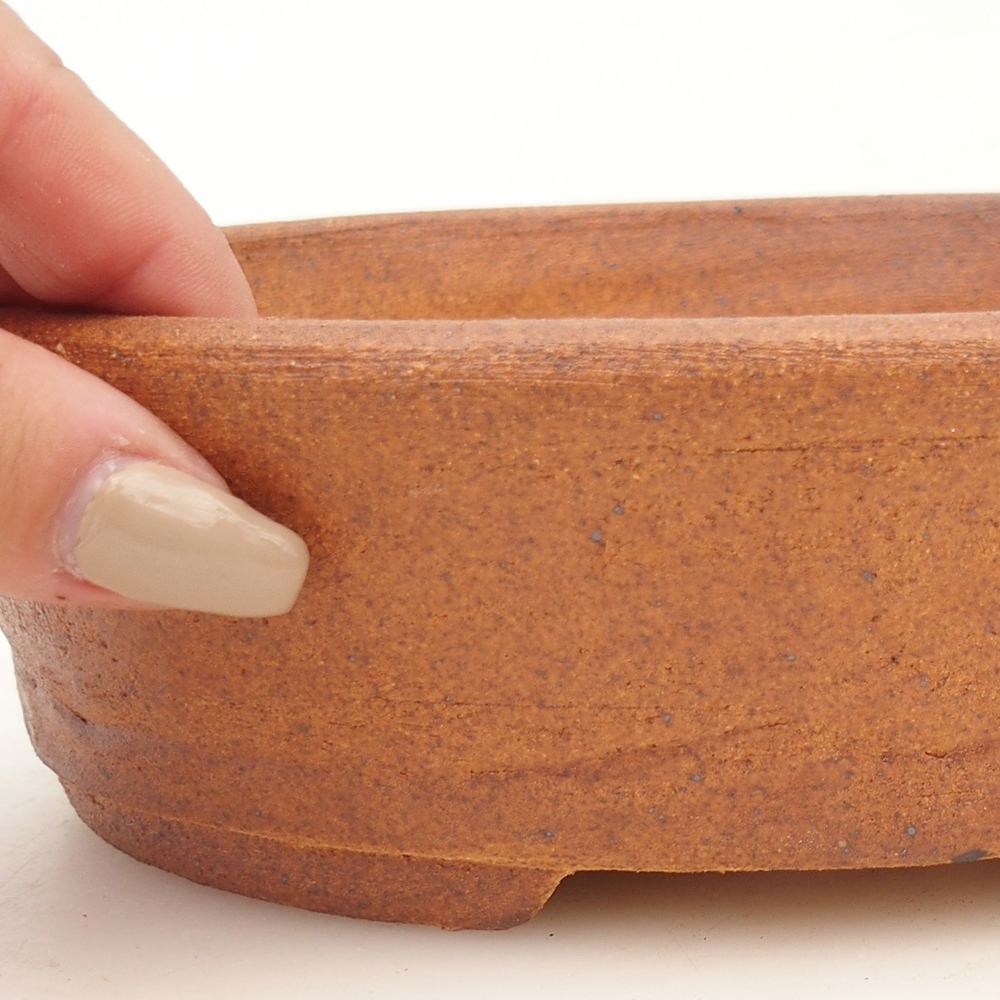 Bol à bonsaï 20 x 16 x 5,5 cm , couleur marron