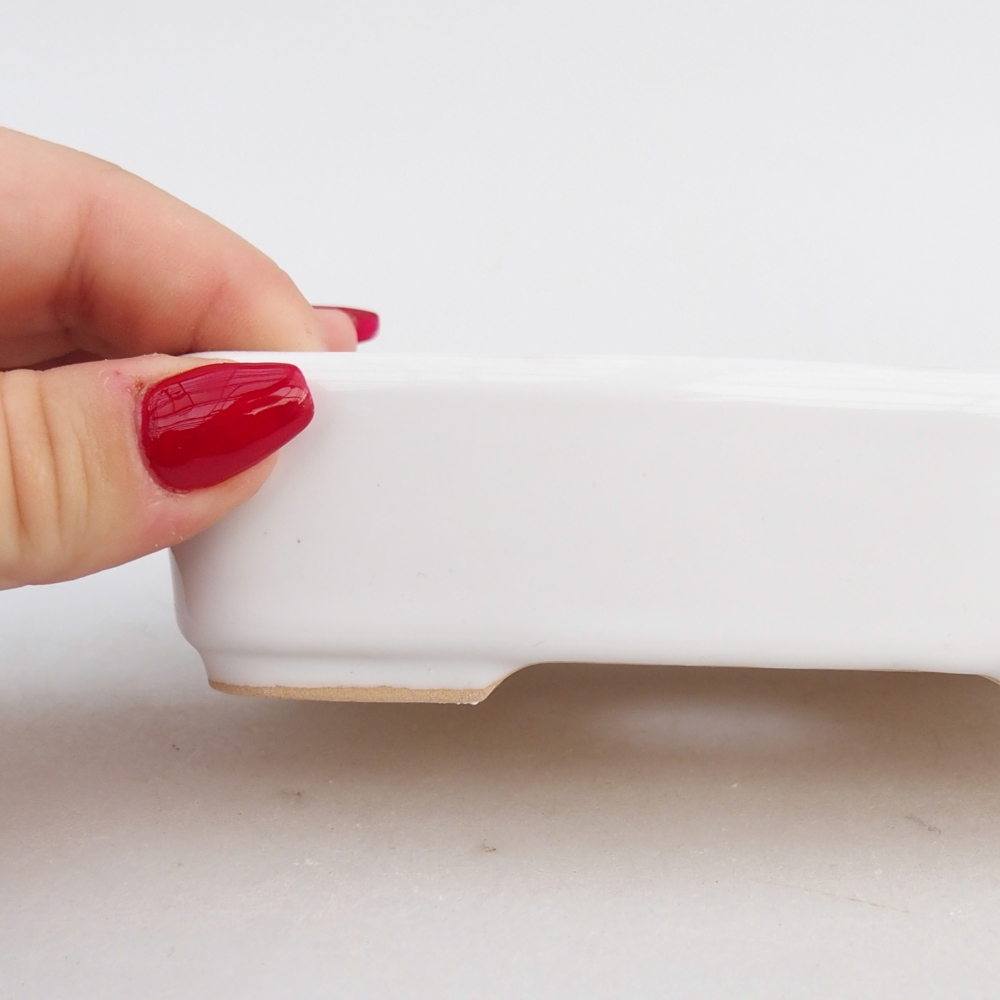 Bol à bonsaï en céramique 12,5 x 9,5 x 3,5 cm, couleur blanc