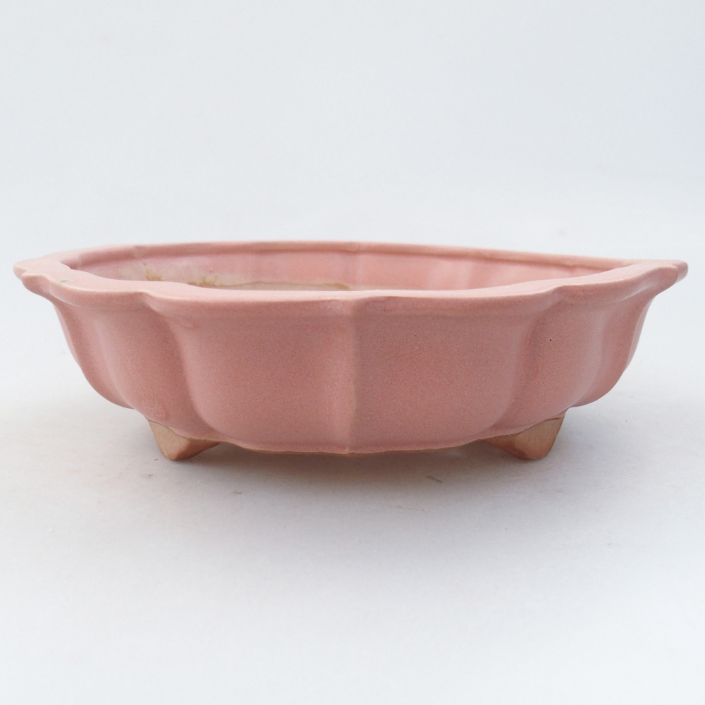 Bol à bonsaï en céramique 19 x 19 x 5 cm, rose