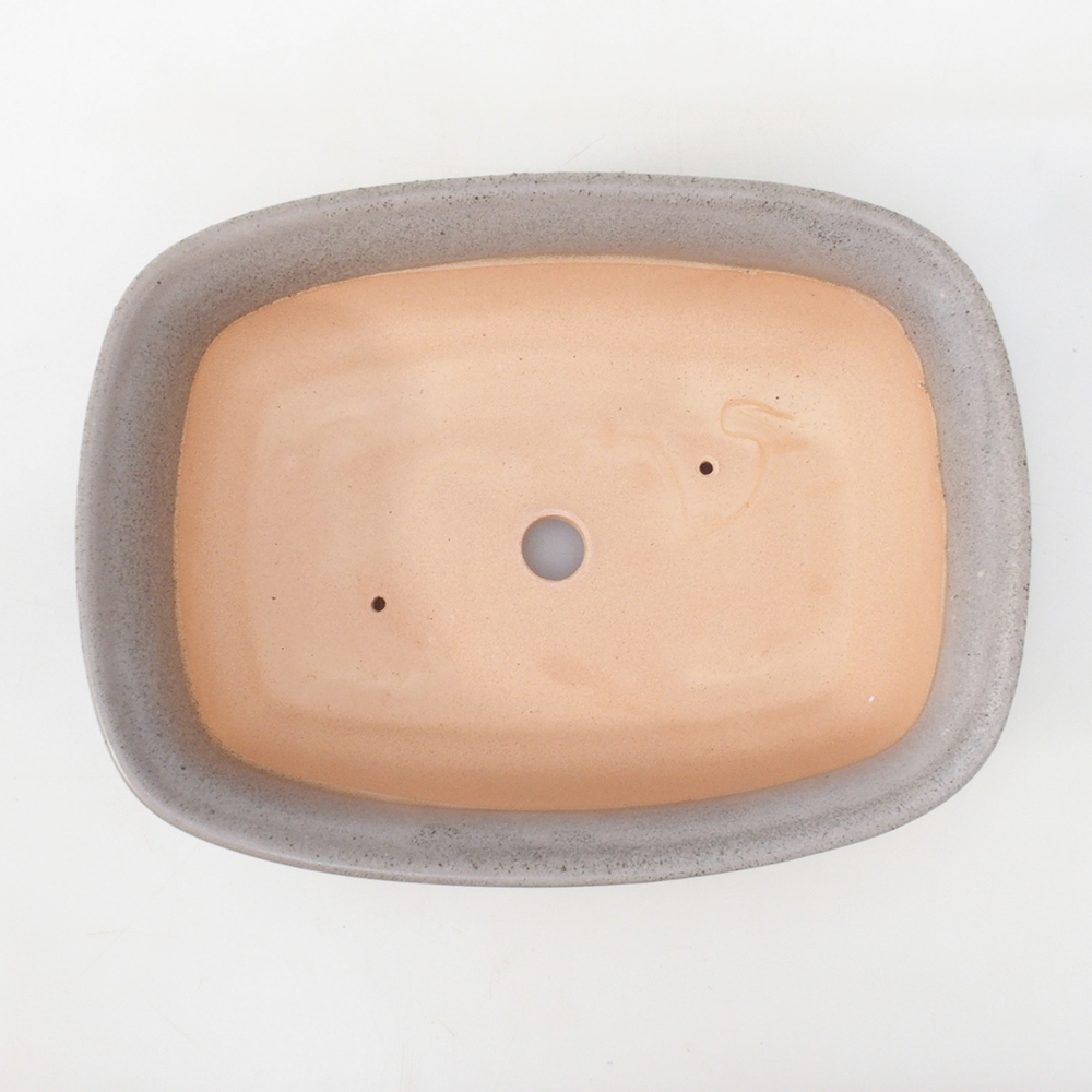 Coupe bonsaï H09 - 30 x 23 x 7,5 cm - beige