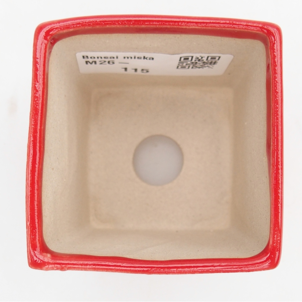 Mini bol bonsaï 5,5 x 5,5 x 6,5 cm, couleur rouge