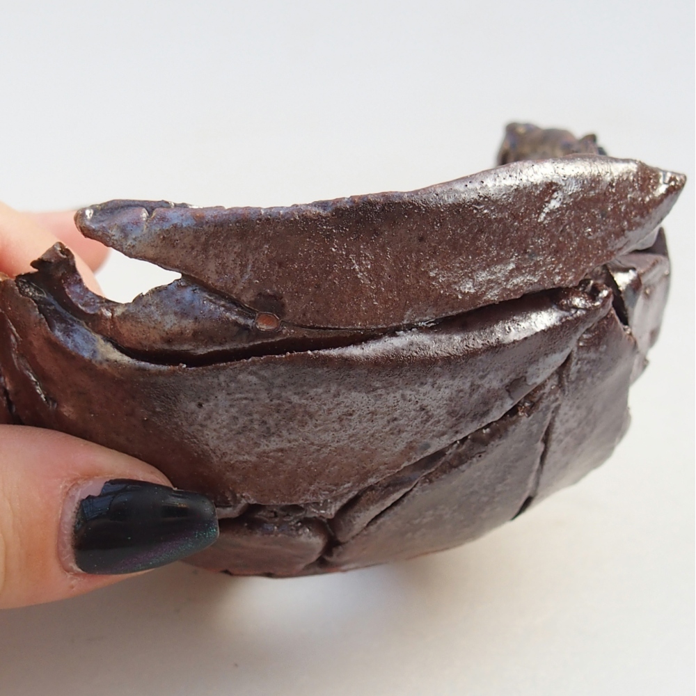 Coquille en céramique 10 x 10 x 6 cm , couleur marron