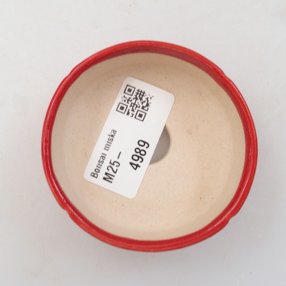 Mini bol bonsaï 6,5 x 6,5 x 2,5 cm, couleur rouge