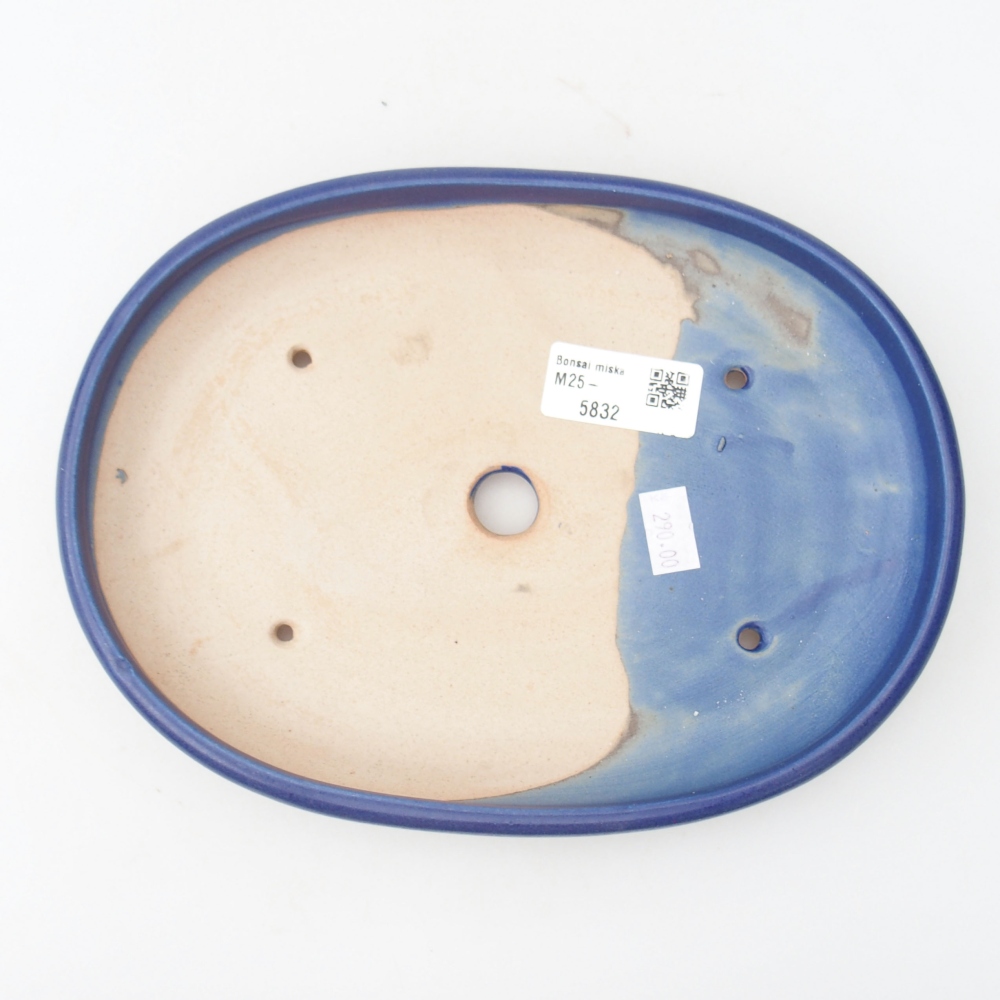 Bol à bonsaï en céramique 22 x 17 x 5 cm, vert