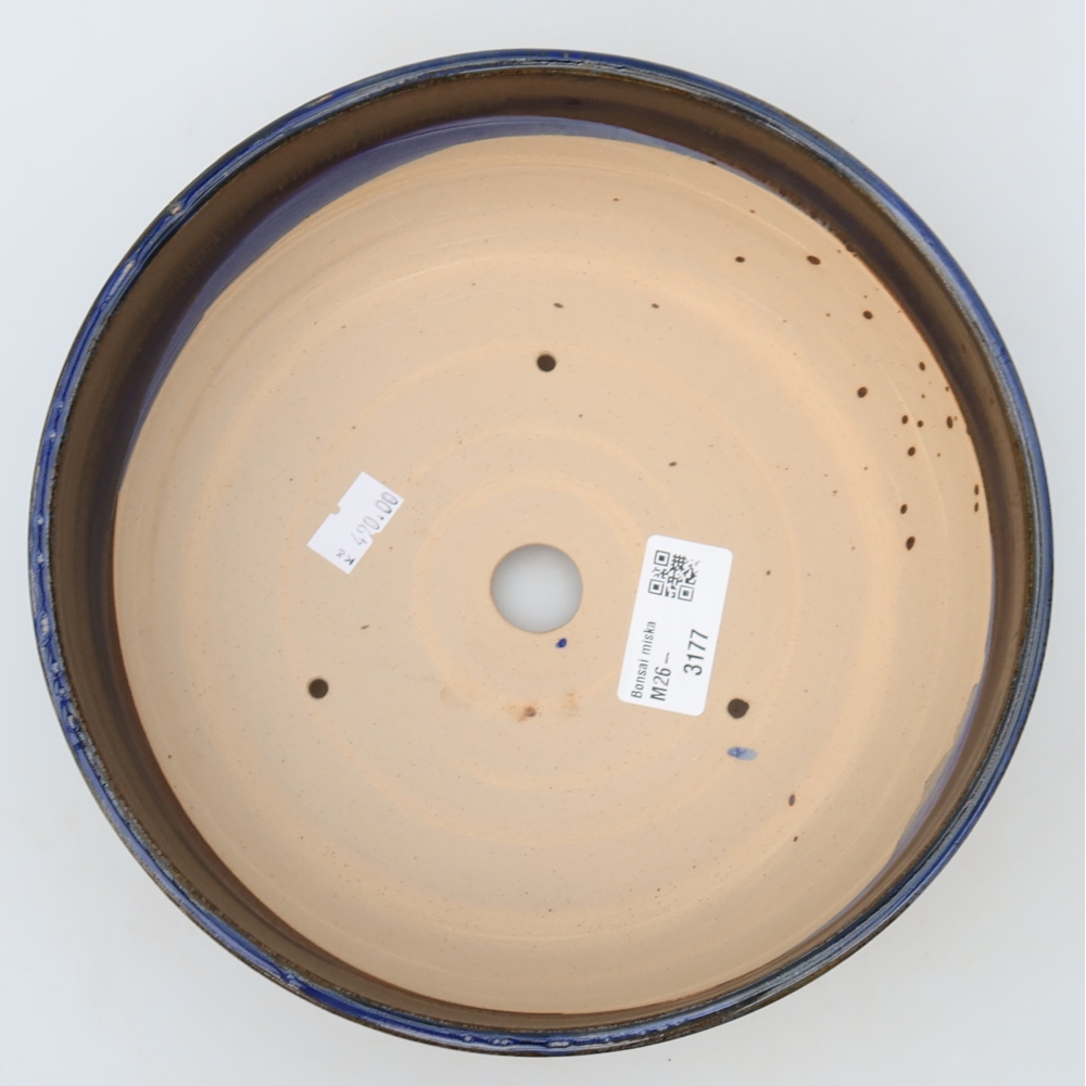 Pot à bonsaï en céramique 21 x 21 x 6 cm, couleur bleue