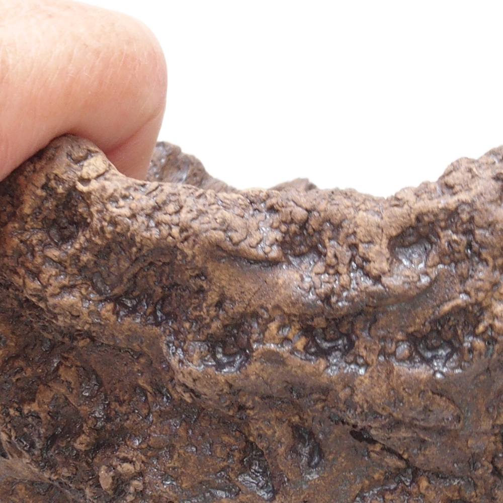 Coquille en céramique 17,5 x 16 x 17,5 cm , couleur marron