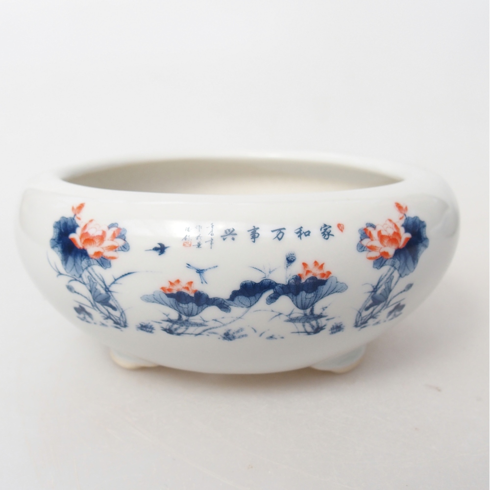 Bol à bonsaï en céramique 10 x 10 x 5 cm, couleur blanc