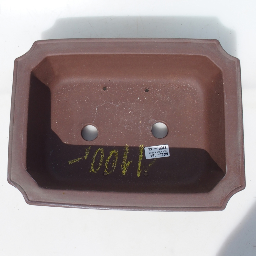 Bol pour bonsaï 35,5 x 36,5 x 11 cm bouleau brun