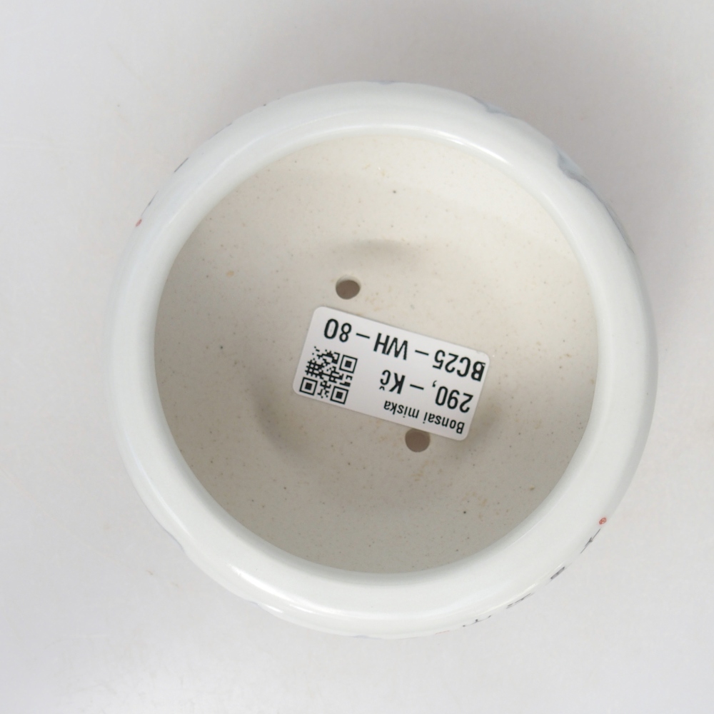 Bol à bonsaï en céramique 10 x 10 x 5 cm, couleur blanc