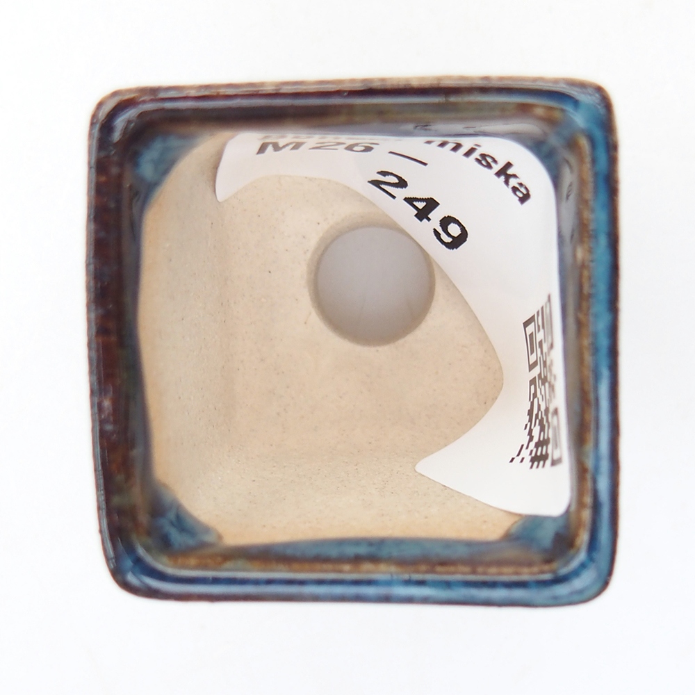 Mini bol bonsaï 3 x 3 x 3 cm, bleu