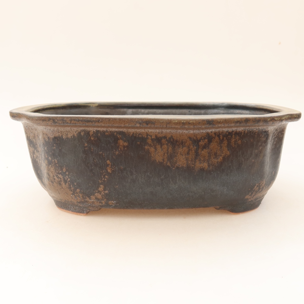 Bol à bonsaï en céramique 23 x 19 x 7 cm, brun
