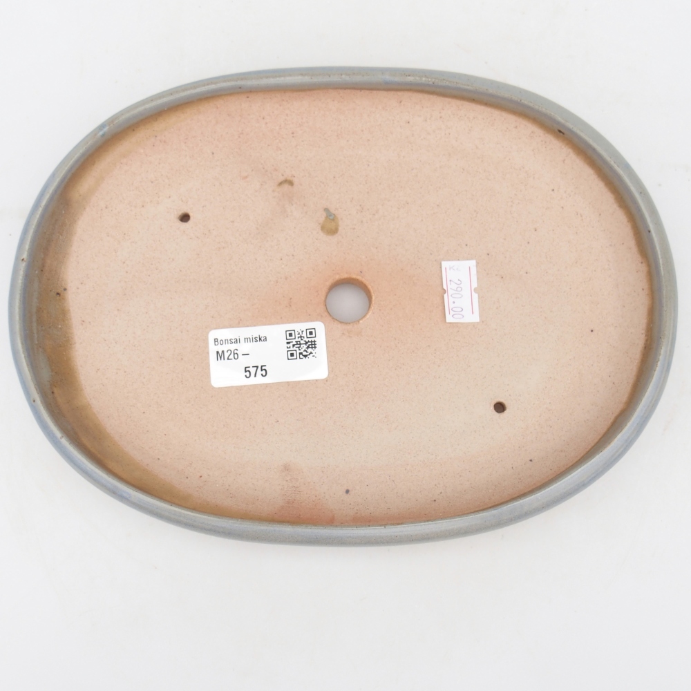 Bol à bonsaï en céramique 22 x 17 x 3 cm, couleur bleu