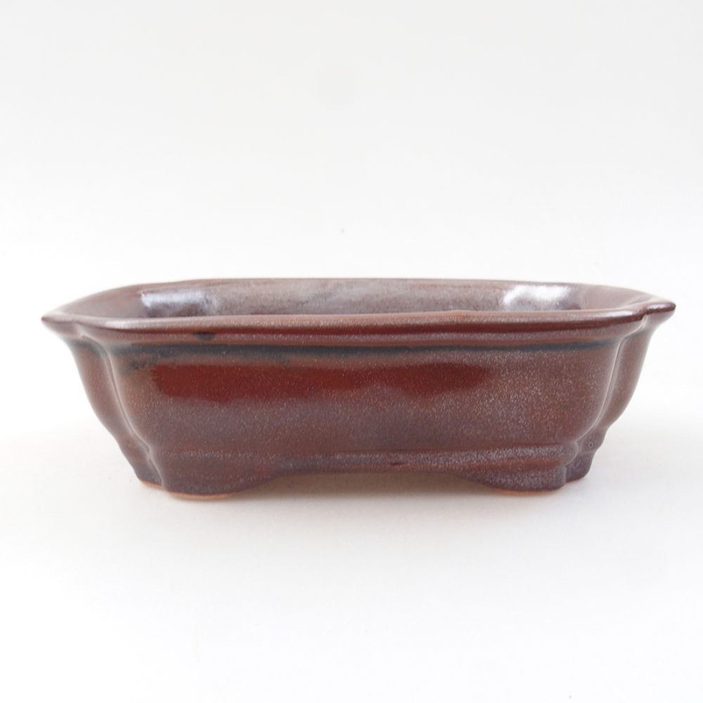 Bol à bonsaï en céramique 16 x 12 x 5 cm, brun