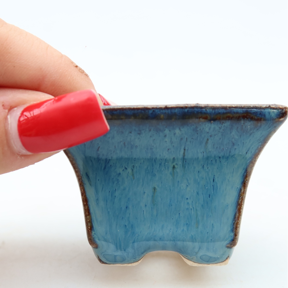 Pot à bonsaï en céramique 5,5 x 5,5 x 4 cm, couleur bleue