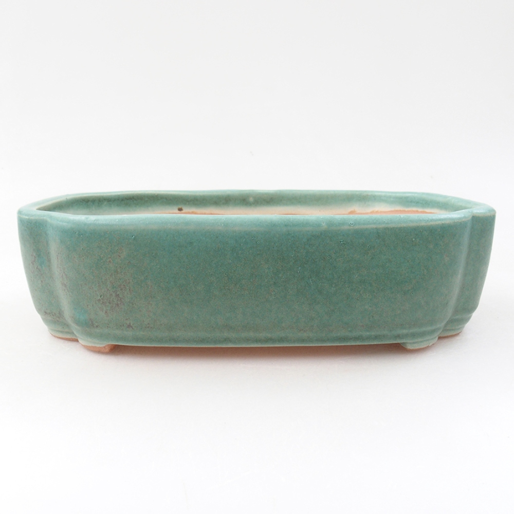 Bol à bonsaï en céramique 18 x 13 x 5 cm, vert
