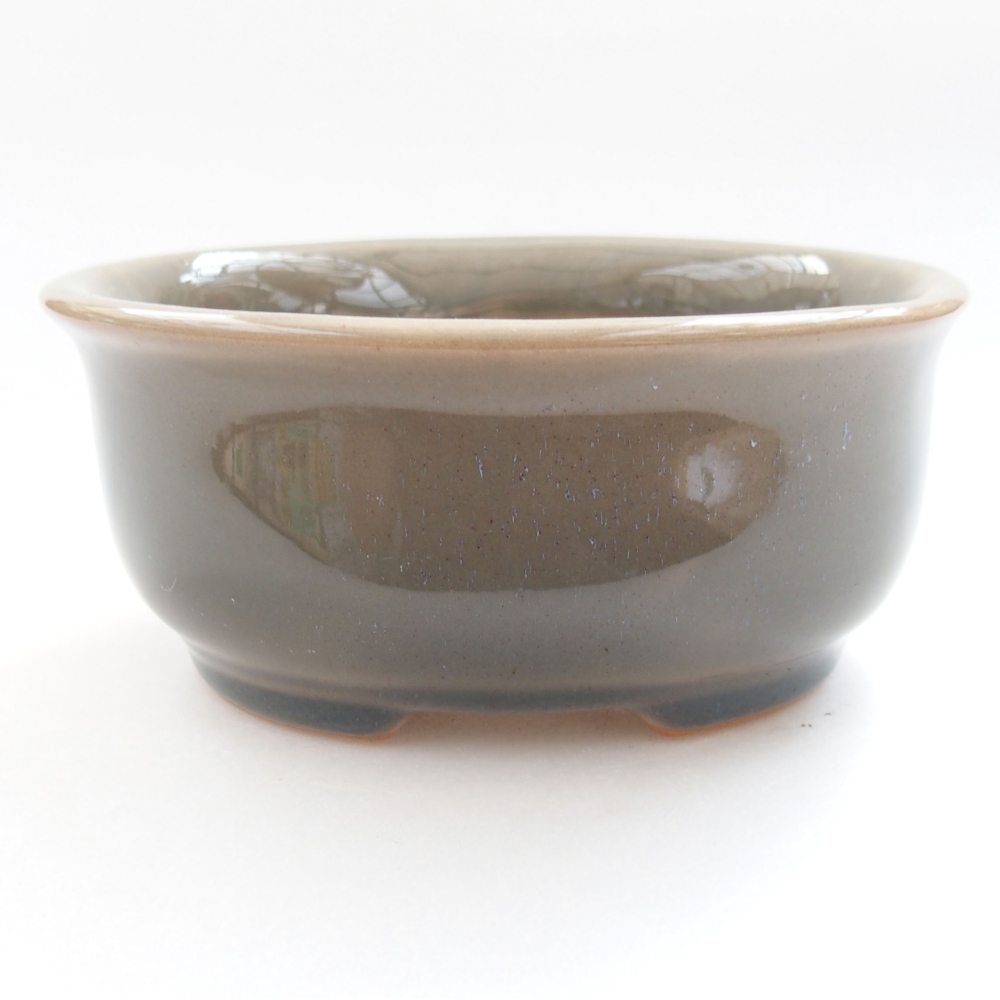 Bol à bonsaï en céramique 22 x 17 x 5 cm, vert