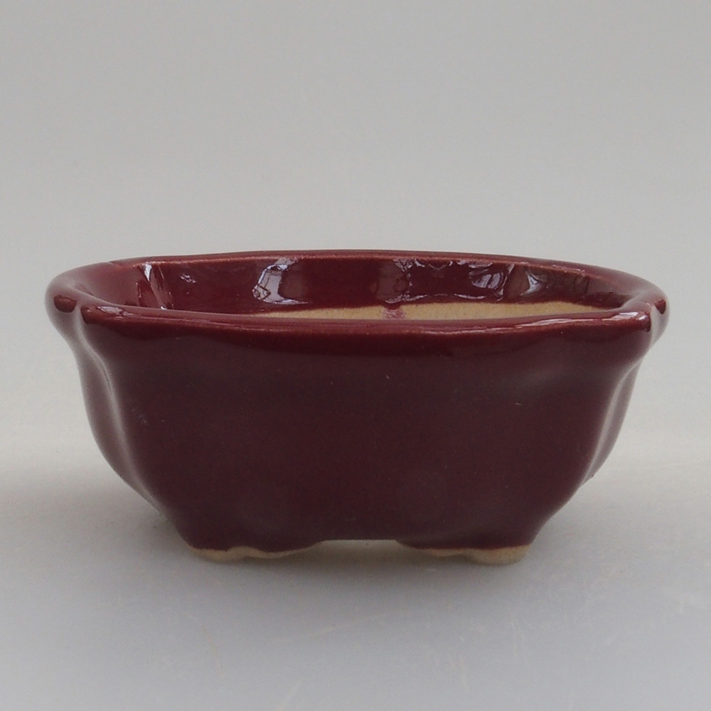 Mini bol bonsaï 6 x 6 x 2,5 cm, bordeaux