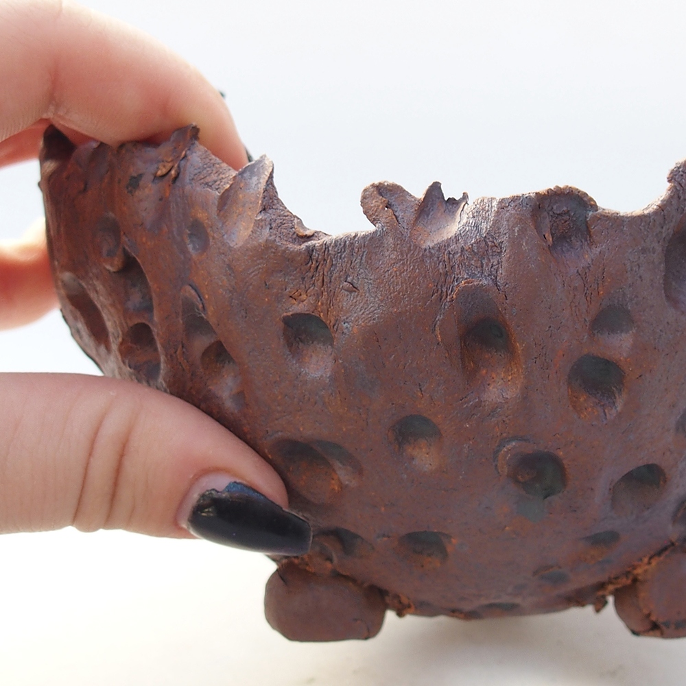 Coquille en céramique 13 x 12,5 x 8,5 cm , couleur marron