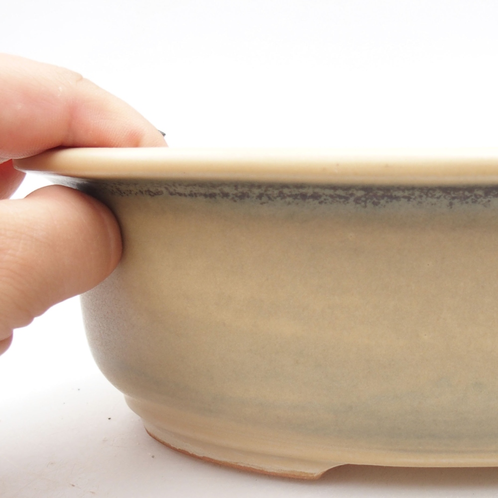 Bol à bonsaï en céramique 23 x 19,5 x 7 cm, couleur beige