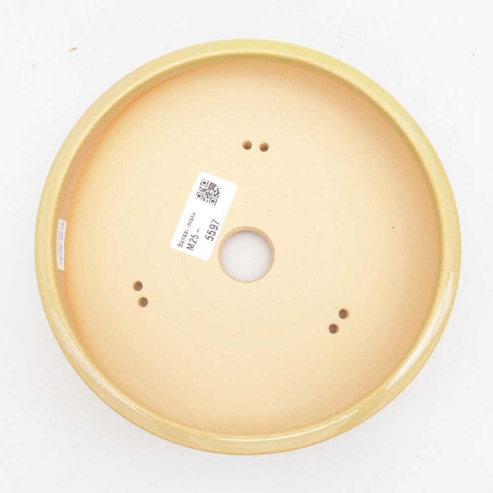 Bol à bonsaï en céramique 18 x 18 x 5 cm, vert