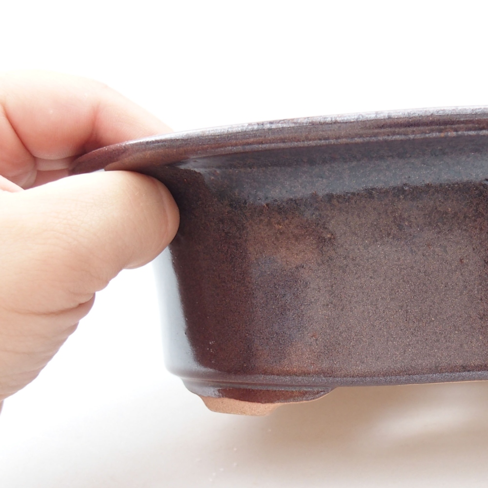 Bol à bonsaï en céramique 22 x 17 x 5 cm, vert