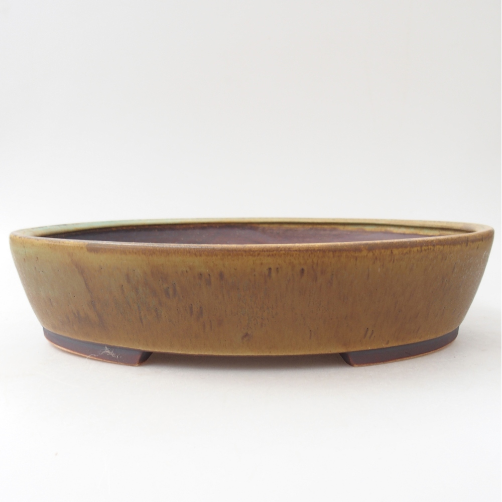 Bol à bonsaï en céramique 28,5 x 25 x 6 cm, vert