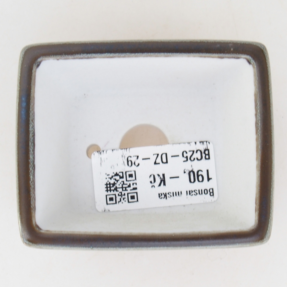 Mini bol bonsaï 7,5 x 6 x 3 cm, vert