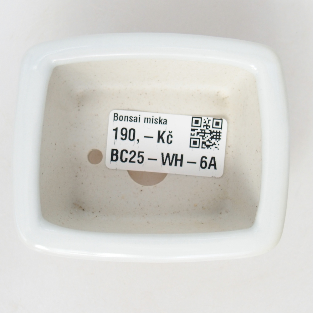 Mini bol bonsaï 8 x 6,5 x 3,5 cm, blanc