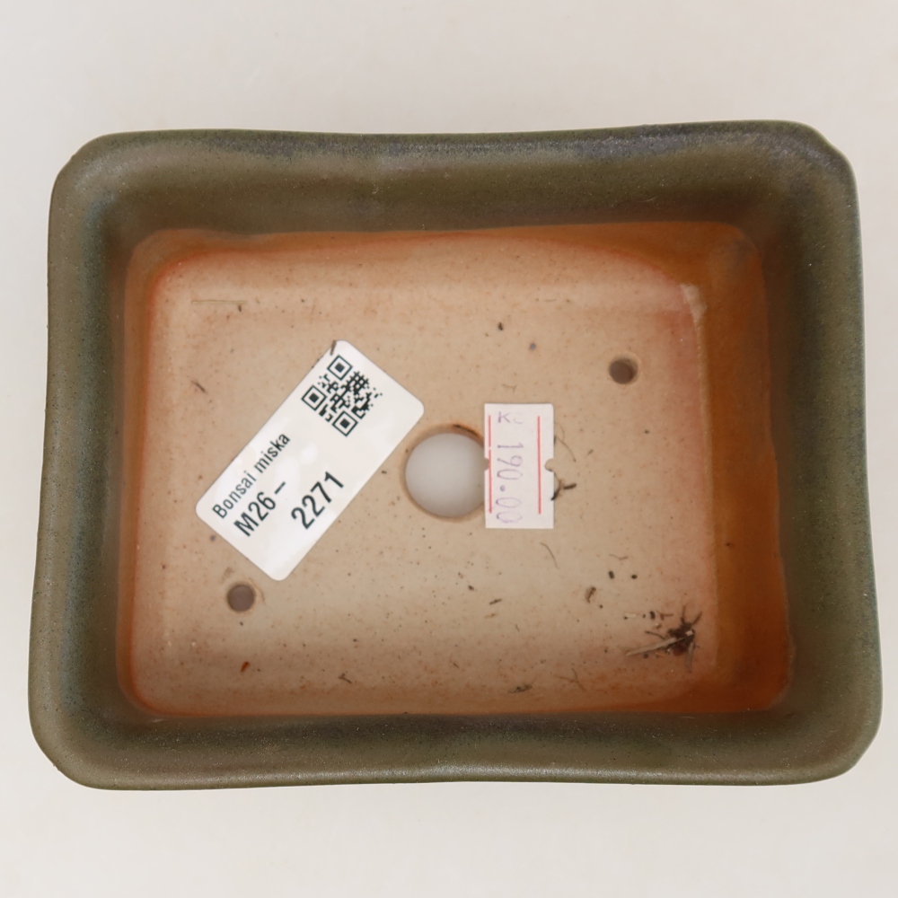 Pot à bonsaï en céramique 12 x 10 x 5 cm, couleur verte