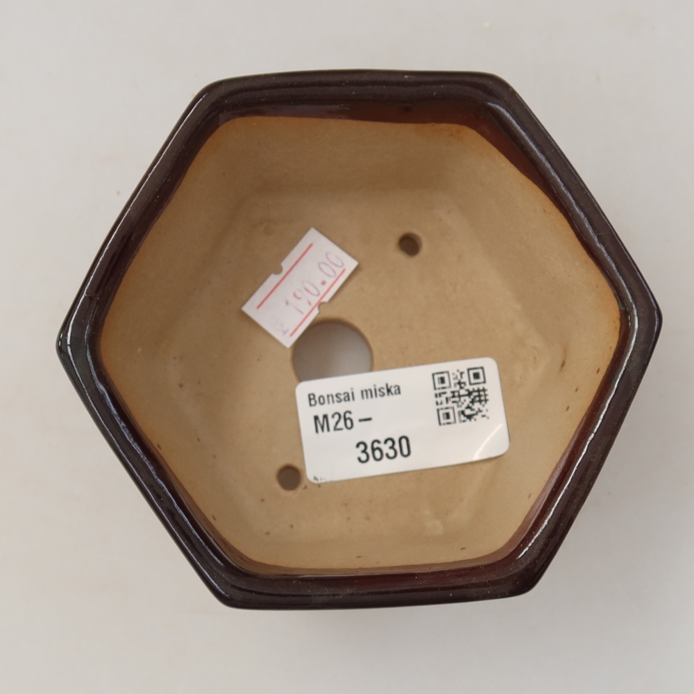 Bol à bonsaï en céramique 10 x 9 x 5 cm, brun
