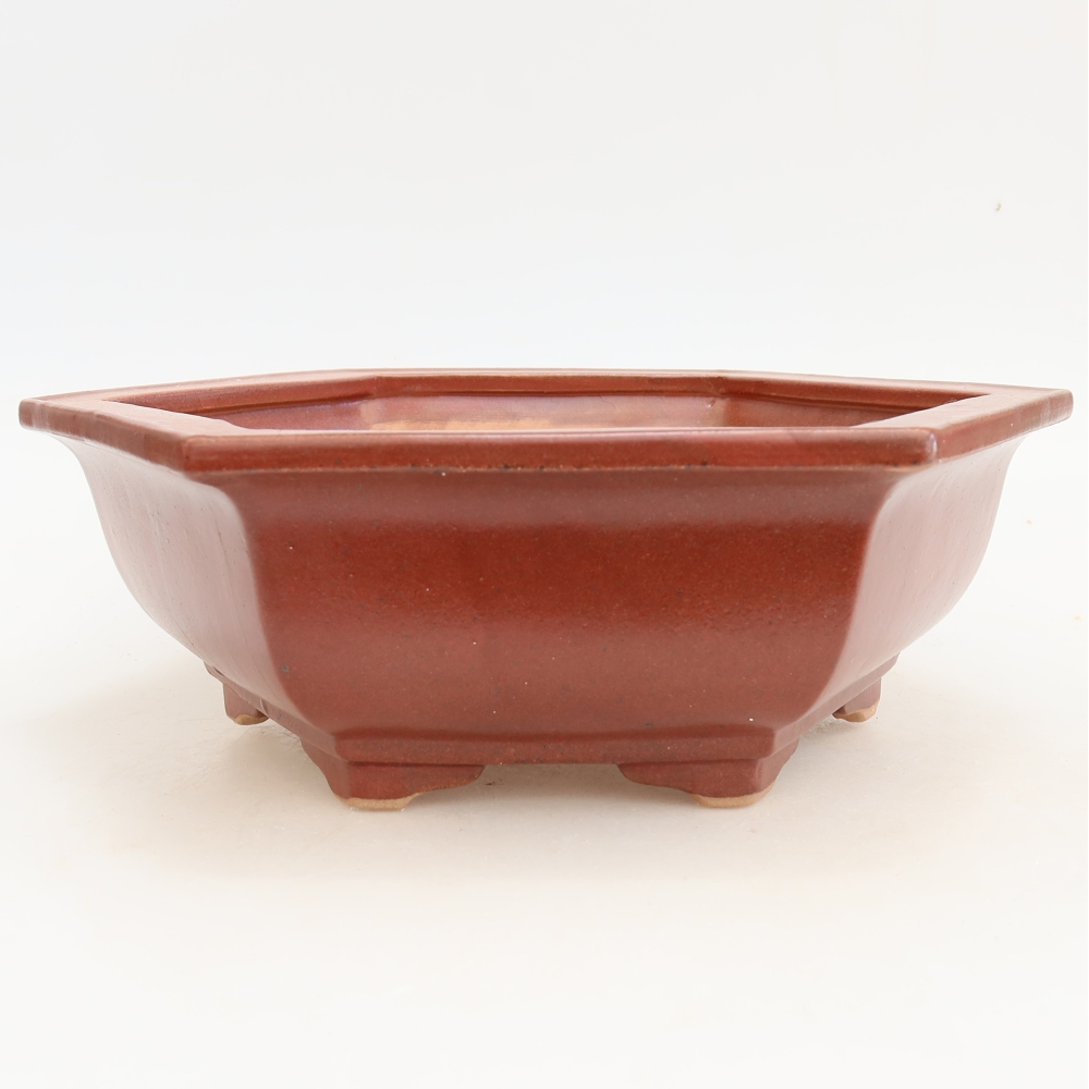 Pot à bonsaï en céramique 28 x 24,5 x 9 cm, couleur bordeaux
