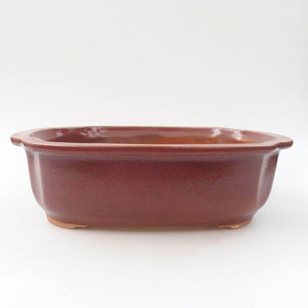 Bol à bonsaï en céramique 24,5 x 21 x 7 cm, couleur bordeaux