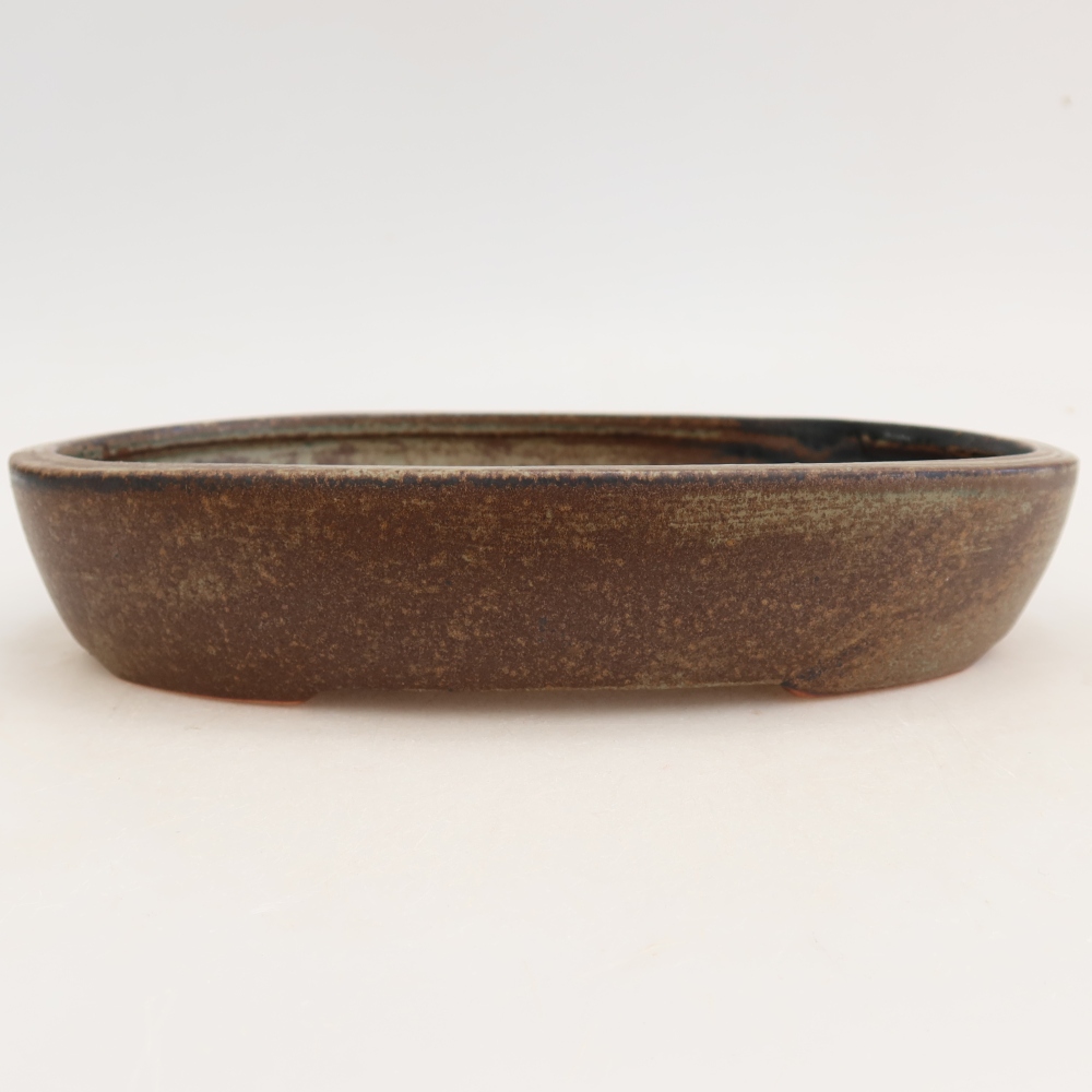 Bol à bonsaï en céramique 22 x 17 x 4 cm, brun