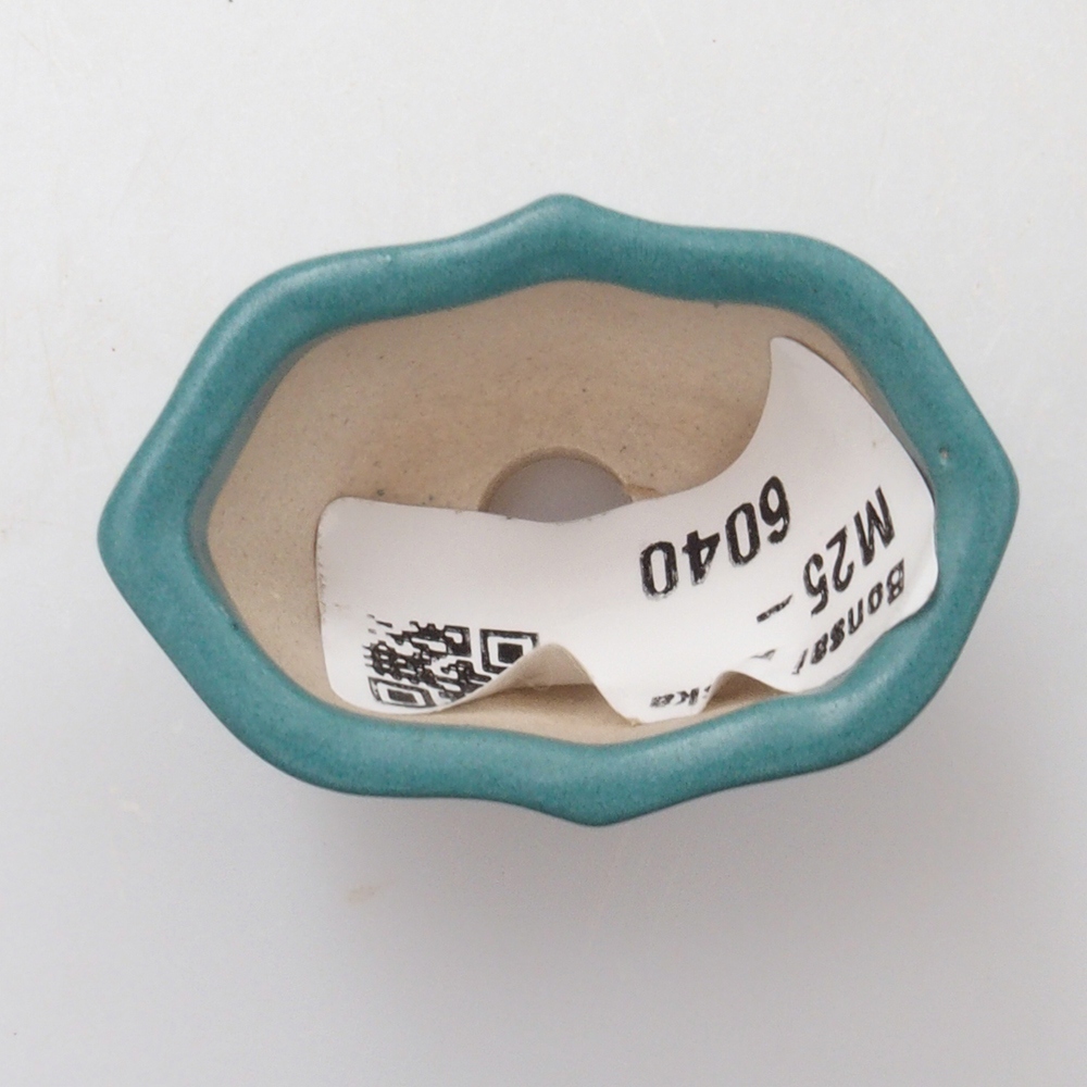 Bol à bonsaï en céramique 6,5 x 5,5 x 4 cm, couleur bleu