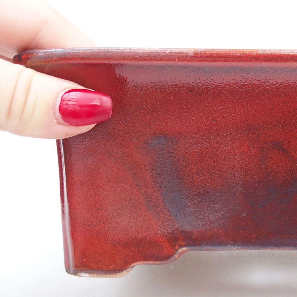 Bol à bonsaï en céramique 18 x 14 x 7,5 cm, couleur rouge