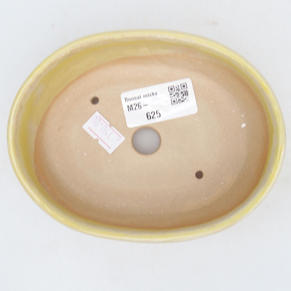 Bol à bonsaï en céramique 13,5 x 10,5 x 4 cm, jaune