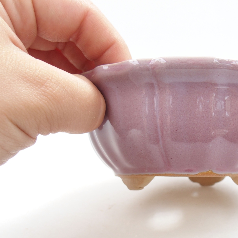 Bol à bonsaï en céramique 22 x 17 x 5 cm, vert