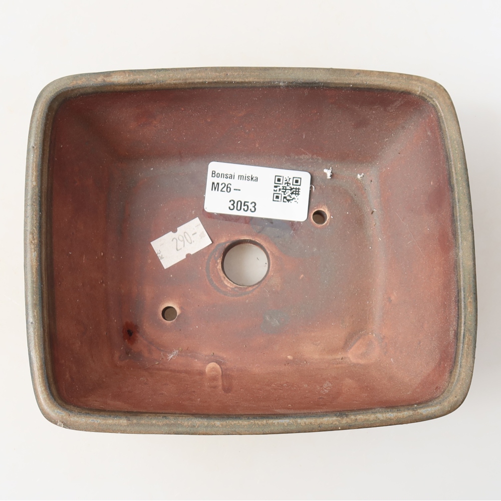 Pot à bonsaï en céramique 15 x 12,5 x 5,5 cm, couleur marron
