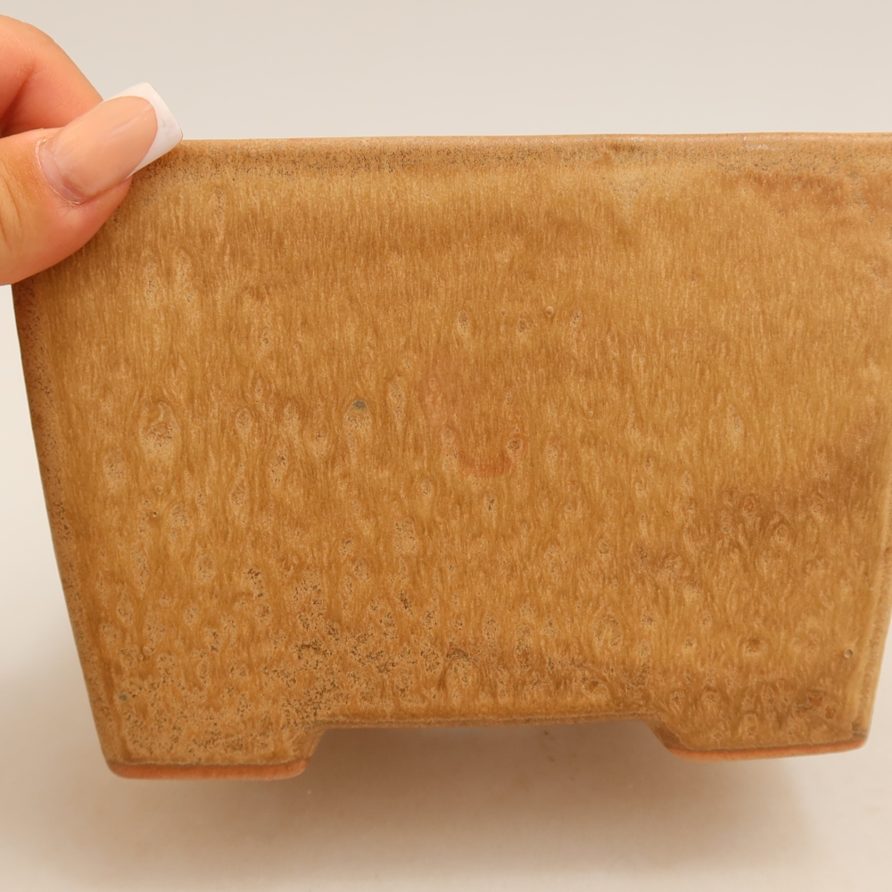 Pot à bonsaï en céramique 15 x 15 x 10,5 cm, couleur beige