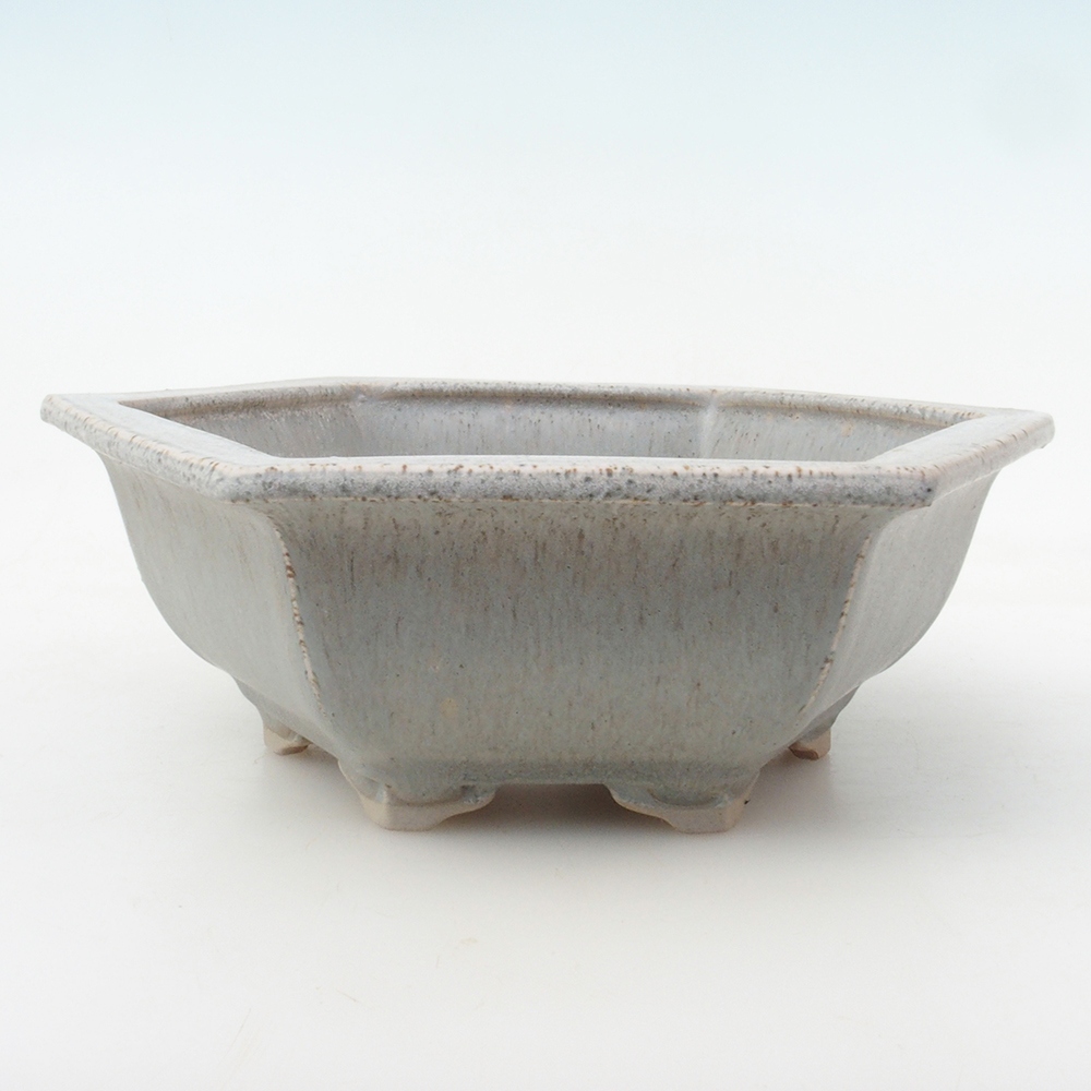 Coupe bonsaï H53 - 19 x 21,5 x 7 cm - beige