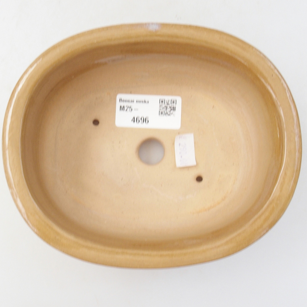 Bol à bonsaï en céramique 15,5 x 12 x 5,5 cm, couleur beige