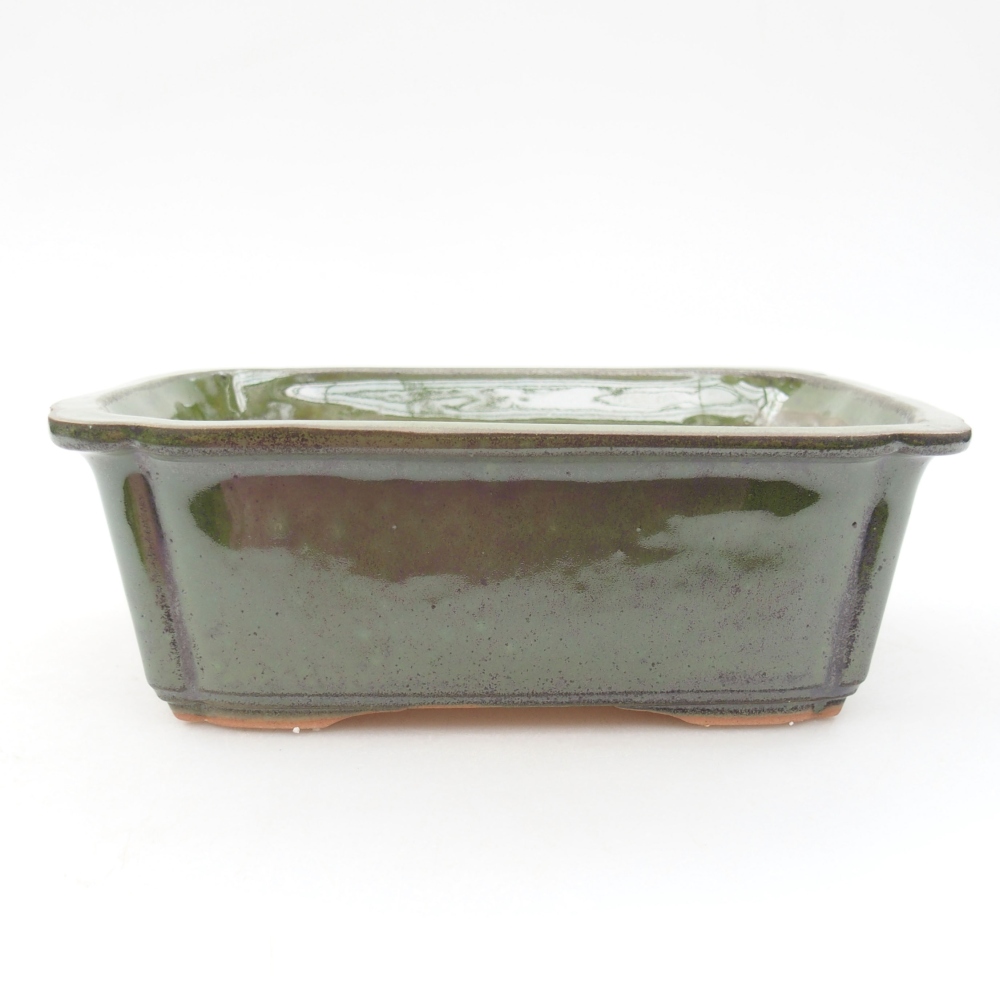 Bol à bonsaï en céramique 17,5 x 12,5 x 6 cm, vert