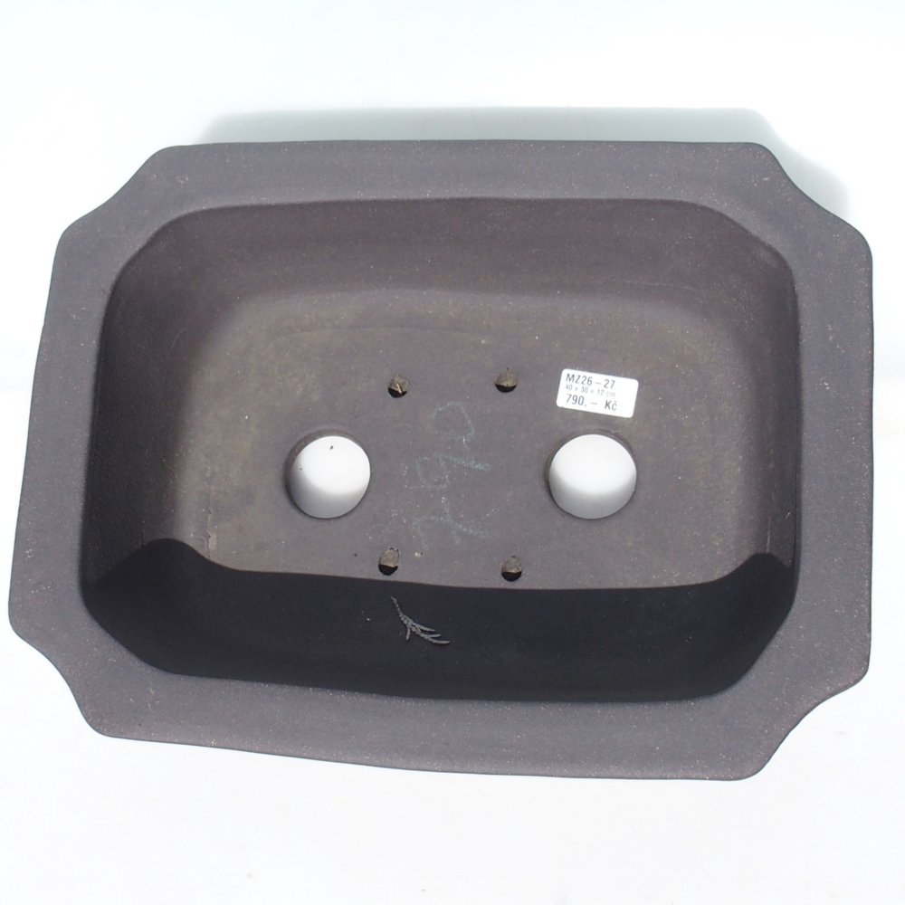 Bol pour bonsaïs 40 x 30 x 12 cm - brun