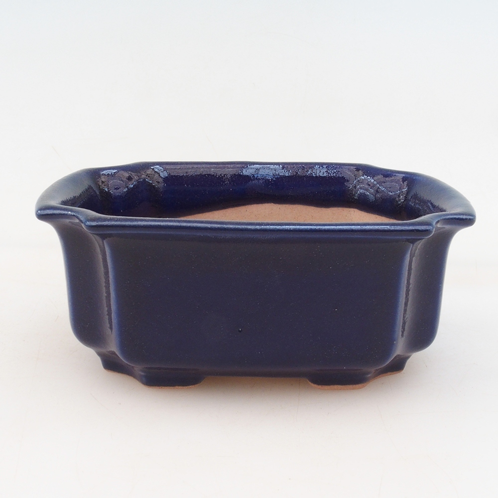 Bol à bonsaï H01 - 12 x 9 x 5 cm - bleu